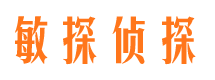 武鸣侦探